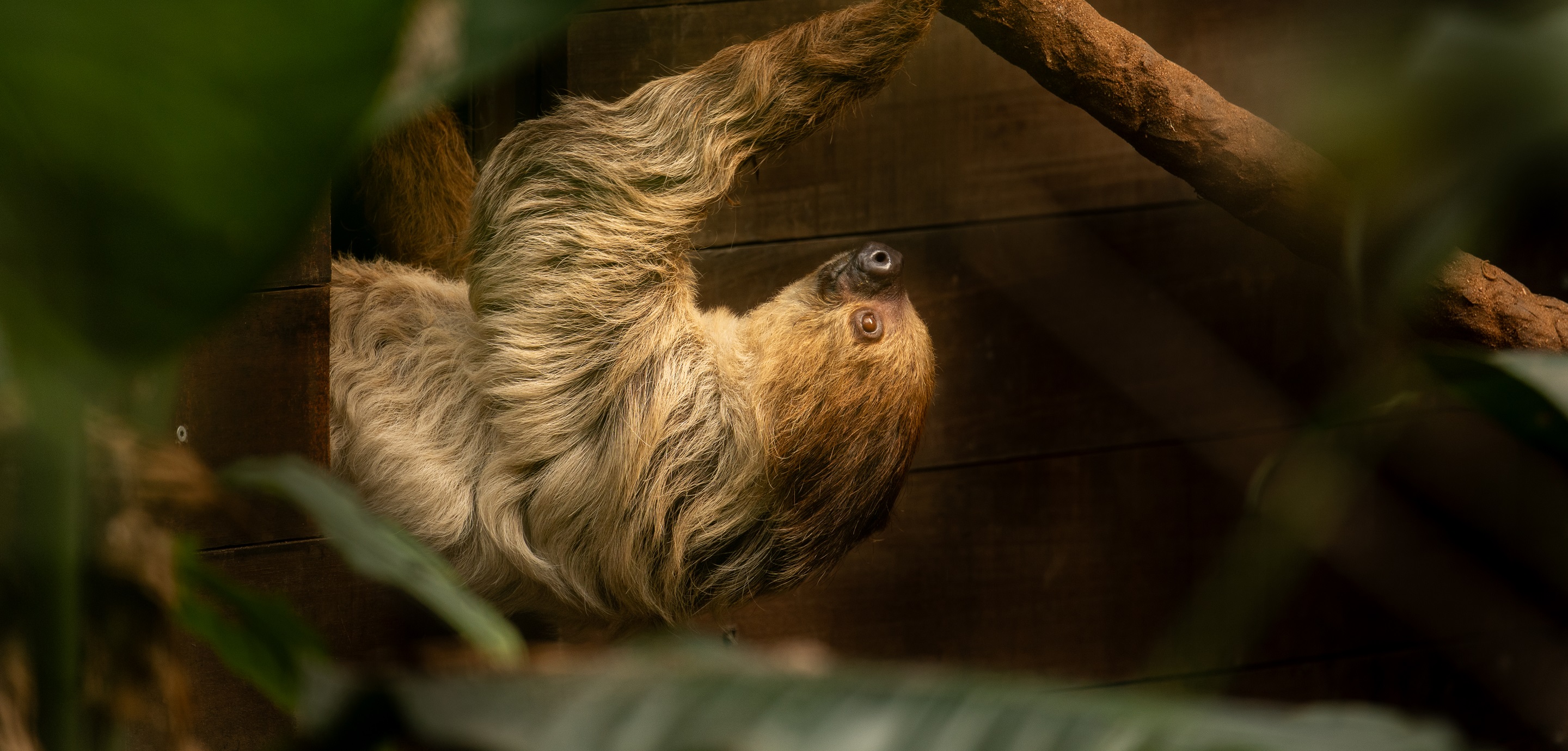ontdek wereldse natuur